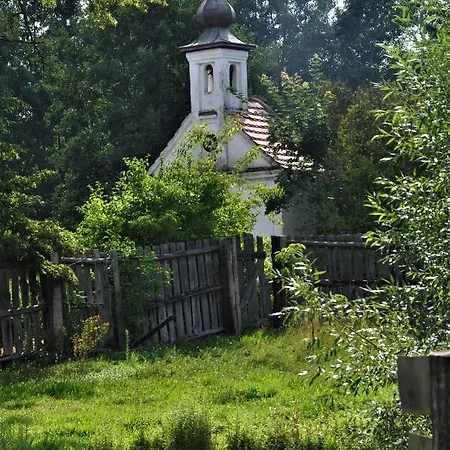 Statek * Polzov